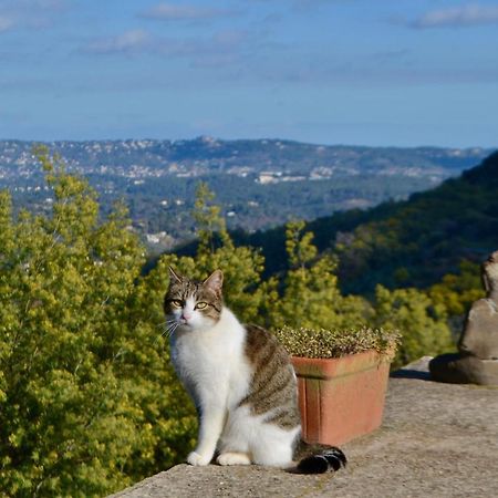 Amoureux Du Calme Et De La Nature Tanneron ภายนอก รูปภาพ